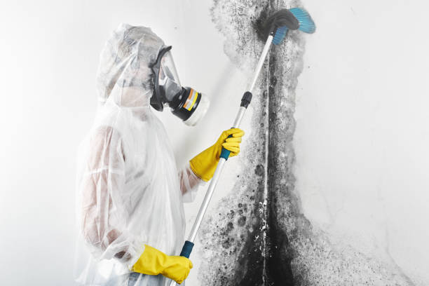 Best Dehumidification Services  in Fabens, TX