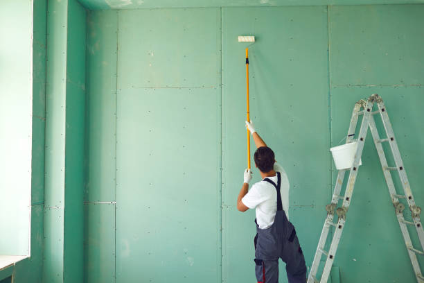 Mold Documentation for Insurance Claims in Fabens, TX