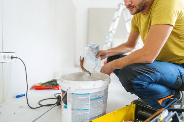 Best Basement Mold Removal  in Fabens, TX