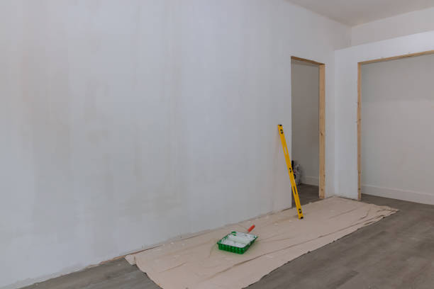 Best Environmental Consulting for Mold Prevention  in Fabens, TX