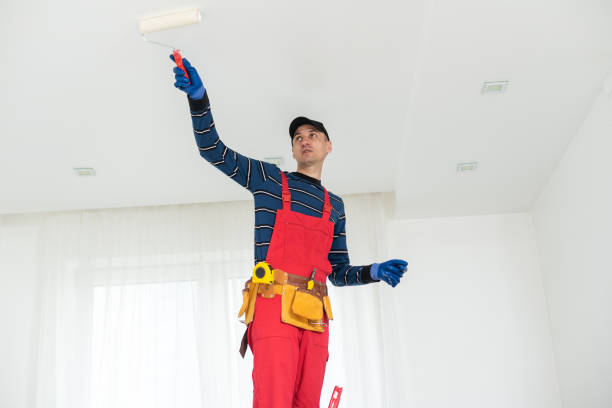  Fabens, TX Mold Removal Pros