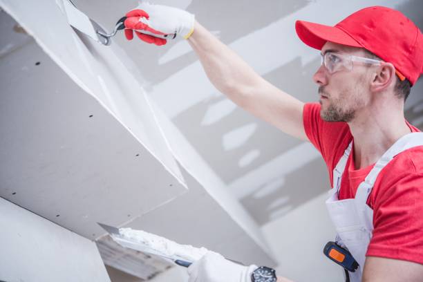 Best Biohazard Mold Removal  in Fabens, TX