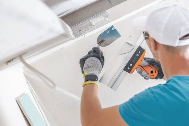 Best Mold Odor Removal Services  in Fabens, TX